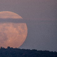 <font class="tempImageTitleThumbText">Harvest Moon Rising</font><br>Ábrahám Tamás<br>Sep 27 7:43am<br>Zsámbék, Hungary