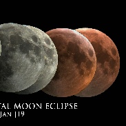 <font class="tempImageTitleThumbText">Total Lunar Eclipse</font><br>Adam Malíř<br>Jan 22 3:39pm<br>Pardubice, Czech republic