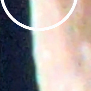 <font class="tempImageTitleThumbText">SpaceX Lunar Impact</font><br>Agnieszka and Friedrich Deters<br>Aug 6 12:57pm<br>Spring Lake Park, MN, USA