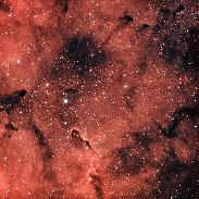 <font class="tempImageTitleThumbText">IC 1396  Nébuleuse De La Trompe</font><br>Alain Malfait<br>Jun 2 12:23pm<br>Esterel 06  France