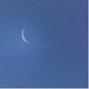 <font class="tempImageTitleThumbText">Lunar Occultation Of Venus</font><br>Alan Butterfield<br>Nov 9 12:14pm<br>Lossiemouth, Moray, Scotland.
