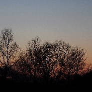 <font class="tempImageTitleThumbText">VENUS - MERCURY</font><br>Alan C Tough<br>Jan 17 8:36pm<br>Elgin, Moray, Scotland