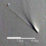 <font class="tempImageTitleThumbText">Comet NEOWISE</font><br>Alan Clark<br>Jul 23 1:37am<br>Calgary Alberta Canada