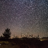 <font class="tempImageTitleThumbText">Bright Geminid Descending</font><br>Alan Dyer<br>Dec 13 10:13pm<br>Near Portal, AZ