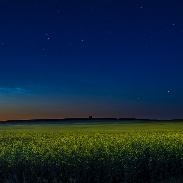 <font class="tempImageTitleThumbText">NLCs Over Canola Field</font><br>Alan Dyer<br>Jul 12 6:46pm<br>near Gleichen, Alberta