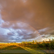 <font class="tempImageTitleThumbText">Rainbow At Sunset</font><br>Alan Dyer<br>Jun 2 1:31am<br>near Gleichen, Alberta, Canada