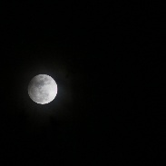 <font class="tempImageTitleThumbText">Penumbral Lunar Eclipse, 02.10.2017</font><br>Alan Falk<br>Feb 12 5:48am<br>Raleigh, North Carolina, USA