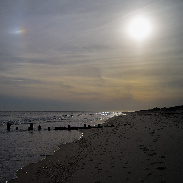 <font class="tempImageTitleThumbText">The Dog Days Of Autumn</font><br>Alan Friedman<br>Oct 22 9:30pm<br>Southampton, NY USA