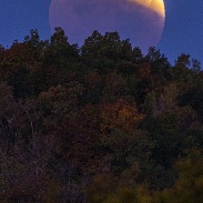 <font class="tempImageTitleThumbText">Lunar Eclipse</font><br>Alan Stankevitz<br>Oct 8 12:50pm<br>La Crescent, MN