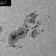 <font class="tempImageTitleThumbText">AR 4294-4296 In White Light</font><br>Alessandro Gambaro<br>Dec 10 10:12pm<br>Castano Primo (MI) - Italy