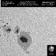 <font class="tempImageTitleThumbText">AR 4478  - Sun - 27 Jun 2026</font><br>Alessandro Gambaro<br>Jun 27 2:51pm<br>Castano Primo (MI) - Italy