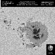 <font class="tempImageTitleThumbText">Sun - 01 Jul 2026</font><br>Alessandro Gambaro<br>Jul 1 9:17pm<br>Castano Primo (MI) - Italy
