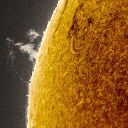 <font class="tempImageTitleThumbText">A Hummingbird On The Sun</font><br>Alessandro Ravagnin<br>May 24 11:30am<br>Romano dEzzelino (Italy) 