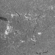 <font class="tempImageTitleThumbText">Sun - Transequatorial Complex Of ARs</font><br>Alessandro Ravagnin<br>Jun 18 7:03am<br>Italy - Romano dEzzlino