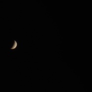 <font class="tempImageTitleThumbText">Venus</font><br>Alessio Lotito<br>Jun 29 12:34pm<br>Torino, Italy