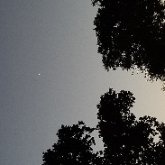 <font class="tempImageTitleThumbText">Jupiter And Venus</font><br>Alex Stokes<br>Aug 12 6:42pm<br>Central park, NYC
