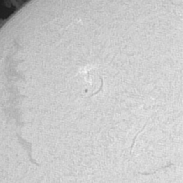 <font class="tempImageTitleThumbText">Solar Filaprom Lucky Imaging 01/05/26st C</font><br>Allan Drummond<br>Jun 3 4:27pm<br>Dundee, Scotland 
