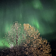 <font class="tempImageTitleThumbText">Aurora </font><br>Alma Naylor<br>Oct 9 6:51pm<br>Valdez, Alaska, USA