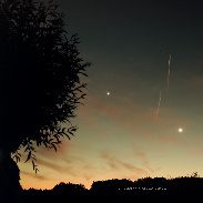 <font class="tempImageTitleThumbText">Jupiter, Venus And A Special Tree With Ey</font><br>Andrea Garcia<br>May 29 6:52pm<br>Frankfurt am Main, Schwanheimer