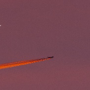 <font class="tempImageTitleThumbText">Venus</font><br>Andreas Möller<br>Mar 16 6:06pm<br>Berlin, Germany
