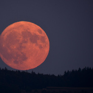 <font class="tempImageTitleThumbText">Moonrise</font><br>Andreas Walker<br>Jul 28 10:02pm<br>Hallwil, Switzerland, Europe
