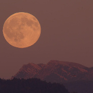 <font class="tempImageTitleThumbText">Harvest Moon</font><br>Andreas Walker<br>Sep 26 7:30pm<br>Altenrhein, Switzerland, Europe
