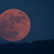 <font class="tempImageTitleThumbText">Blue Moon Rising On Saturday Evening</font><br>Andreas Walker<br>May 30 11:46pm<br>Hallwil, Switzerland, Europe