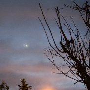 <font class="tempImageTitleThumbText">Jupiter & Venus</font><br>Andres Páez Joannis<br>Mar 2 4:06pm<br>Chihuahua, Chih. México 