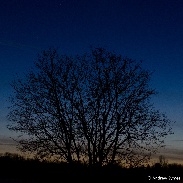 <font class="tempImageTitleThumbText">Moon, Venus & Mars Conjunction</font><br>Andrew Symes<br>Feb 21 2:27am<br>Caught the Moon, Venus, and Mar