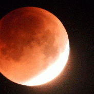 <font class="tempImageTitleThumbText">Total Lunar Eclipse</font><br>Andy Devey<br>May 16 11:20am<br>Mojacar area southern Spain