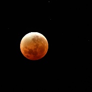 <font class="tempImageTitleThumbText">Lunar Eclipse</font><br>Andy Dodson<br>Jan 31 3:03pm<br>Huirangi Taranaki