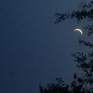 <font class="tempImageTitleThumbText">Crescent Moon With Venus</font><br>Ann Woods<br>Jun 16 6:17am<br>Enumclaw,WA