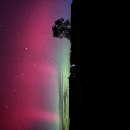 <font class="tempImageTitleThumbText">Auroras</font><br>Annie Hess<br>Nov 12 3:00am<br>Bridgetown VA