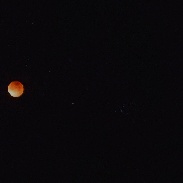 <font class="tempImageTitleThumbText">Lunar Eclipse</font><br>Anthony Galván III<br>Jan 31 4:49pm<br>Goleta, California USA
