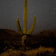<font class="tempImageTitleThumbText">Comet NEOWISE</font><br>Anthony R Nagorka<br>Jul 22 5:41pm<br>New River, AZ