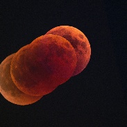 <font class="tempImageTitleThumbText">Lunar Eclipse</font><br>Antonio Finazzi<br>Jul 28 11:48pm<br>Colli di San Fermo - Bergamo - 