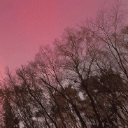 <font class="tempImageTitleThumbText">Naperville Auroras</font><br>Apollo Lasky<br>Nov 12 4:27am<br>Naperville, il