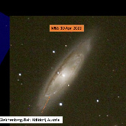 <font class="tempImageTitleThumbText">Supernova In M 65</font><br>Arnold Hanslmeier<br>Apr 11 11:59am<br>Bad Gleichenberg/Bair. Kölldor