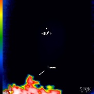 <font class="tempImageTitleThumbText">Lunar Eclipse</font><br>Art Pallone<br>Jan 23 4:23am<br>Elizabethtown, Pennsylvania, US