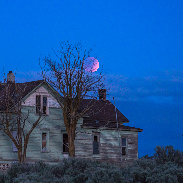<font class="tempImageTitleThumbText">Lunar Eclipse</font><br>Ash Hanson-Steen<br>May 16 6:50am<br>Lind, Washington