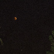 <font class="tempImageTitleThumbText">Lunar Eclipse</font><br>Azarakhsh Azizy<br>Jul 28 7:46am<br>Iran- ahwaz