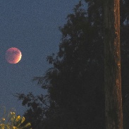 <font class="tempImageTitleThumbText">SUPER MOON LUNAR ECLIPSE</font><br>BILL DUREE<br>Sep 30 6:18pm<br>ANAHEIM, CA