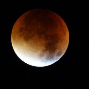 <font class="tempImageTitleThumbText">Total Lunar Eclipse</font><br>Barbara Grudzinska<br>Sep 28 9:15am<br>Warsaw,Poland