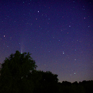 <font class="tempImageTitleThumbText">NEOWISE Comet</font><br>Barbara Reams<br>Jul 23 1:29pm<br>Pinckney, Michigan USA