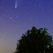 <font class="tempImageTitleThumbText">NEOWISE Comet</font><br>Barbara Reams<br>Jul 23 1:34pm<br>Pinckney, Michigan USA