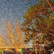 <font class="tempImageTitleThumbText">Geminid Meteors</font><br>Barry Simmons<br>Dec 14 9:03pm<br>Gemenids Meteor Shower last nig