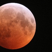 <font class="tempImageTitleThumbText">Lunar Eclipse</font><br>Bernhard Deufel<br>Jan 21 8:56pm<br>Aachen, Germany