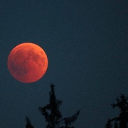 <font class="tempImageTitleThumbText">Lunar Eclipse</font><br>Bernhard Deufel<br>Jul 28 9:39am<br>Sausthal, Germany