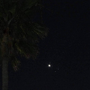 <font class="tempImageTitleThumbText">Venus Near Pleiades Beside Palms</font><br>Bill Golisch<br>Apr 4 4:53am<br>Oceanside CA USA