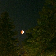 <font class="tempImageTitleThumbText">Lunar Eclipse</font><br>Bill Kramer<br>Oct 8 10:54am<br>Columbus, Ohio, USA